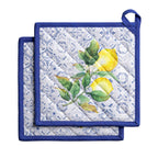Citrus Pot Holders