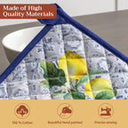 Citrus Pot Holders